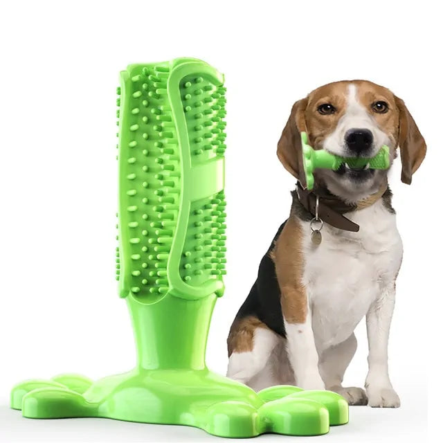 Dog Molar Chew Cleaning Toothbrush