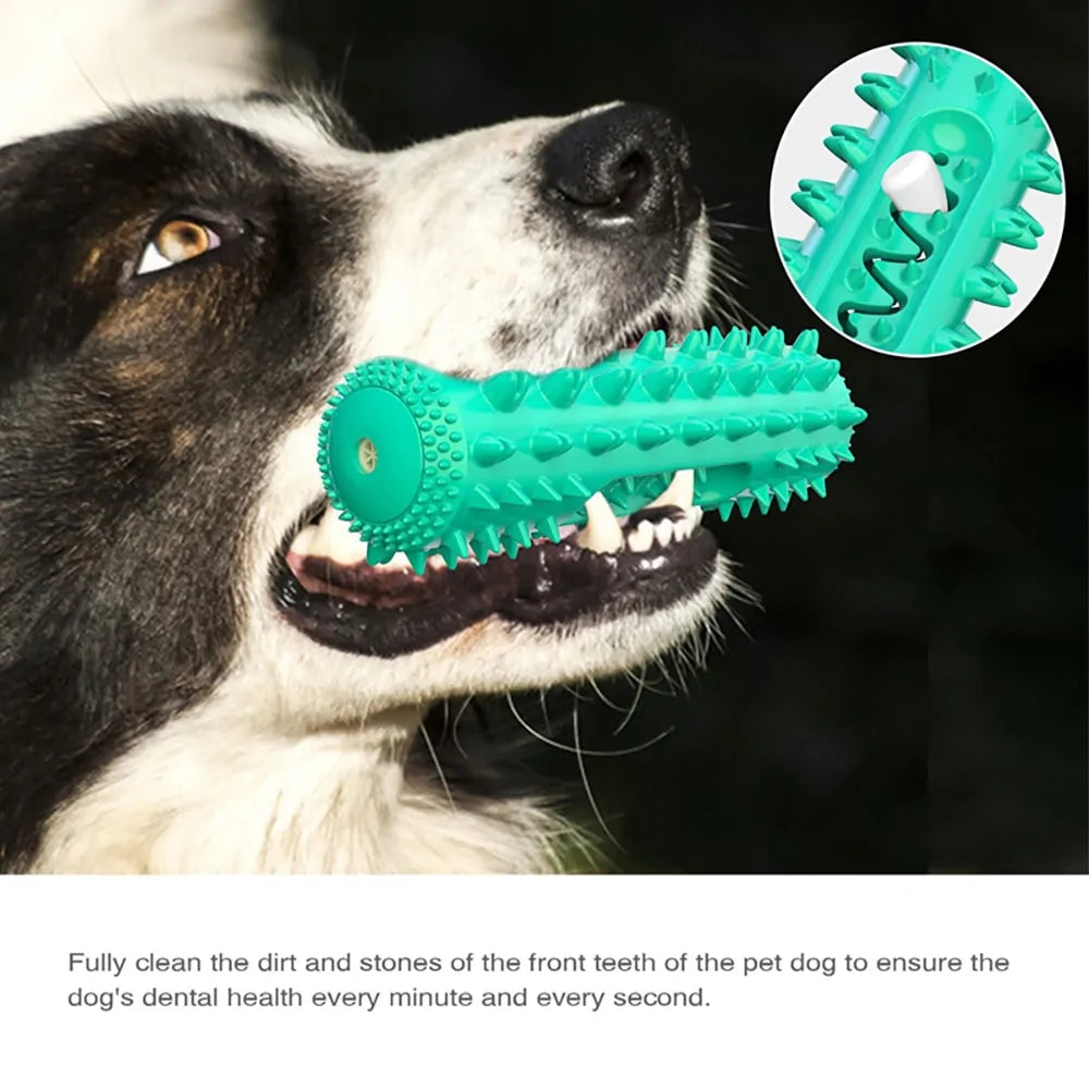 Dog Molar Chew Cleaning Toothbrush